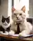 openart-cats-that-work-in-a-creative-marketing-agency-that-just-won-a-big-pitch-presentation_S0F7cRiL_upscaled